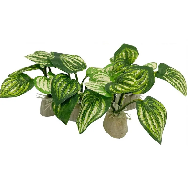 ขนาดเล็กหญ้าใต้น้ํา Aquarium ถ - Aquarium Planted Background บทวิจารณ์และราคา