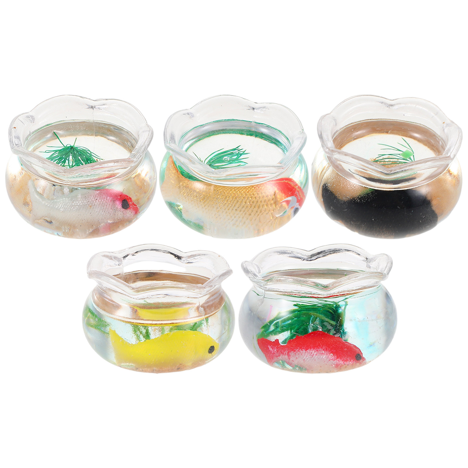ตู้ปลาขนาดเล็กทรงกลม 5 ชิ้น สำ - Aquarium Planted Fish Tank บทวิจารณ์และราคา